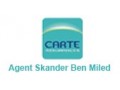 Détails : Assurance Carte :Agence Skander B. Miled
