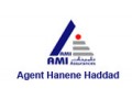 Détails : Assurance AMI :Agence HANENE HADDAD