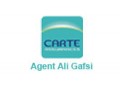 Détails : Assurance Carte :Agence Ali GAFSI