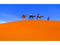 Détails : excursion marrakech par imzi tours
