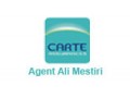 Détails : Assurance Carte :Agence Ali Mestiri 