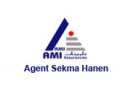 Détails : Assurance AMI : Agence Hanène Sekma