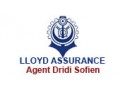 Détails : Assurance LLOYD:Agence dridi sofiene 