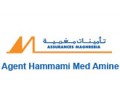 Détails : Assurance Maghrebia :Agence  HAMMAMI Mohamed Amine