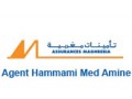 Détails : Assurance Maghrebia :Agence HAMMAMI Mohamed Amine