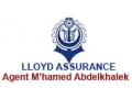 Détails : Assurance LLOYED : Agence M'hamed Abdelkhalek SELIM